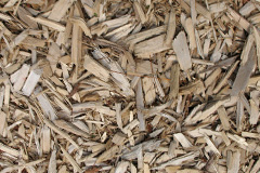 biomass boilers Higher Burrow